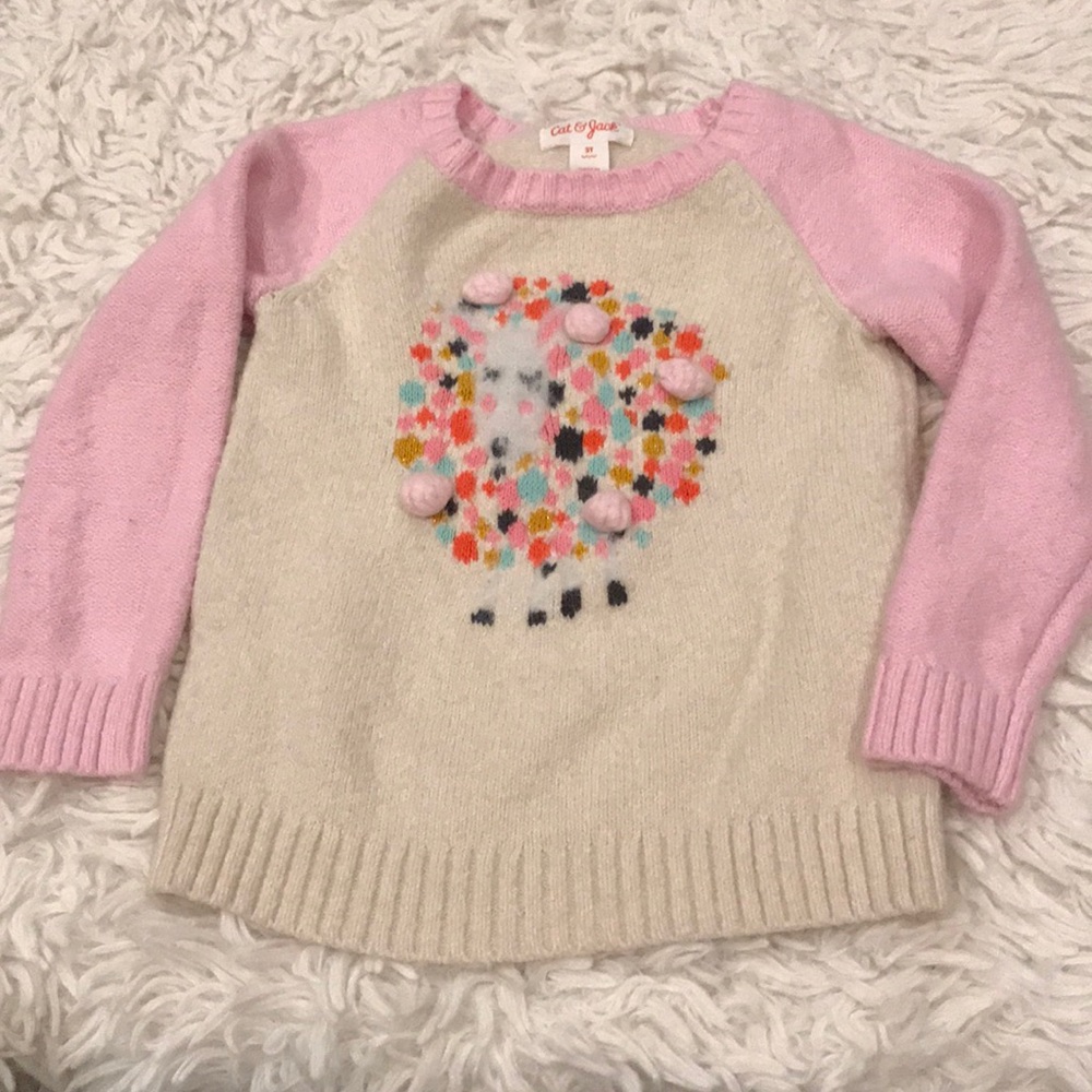 Cat and Jack puffy lamas sweater. Sz2T